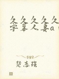 久久久久久中文字幕人妻aⅴ