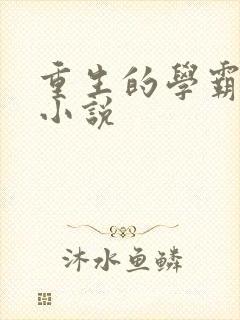 重生的学霸女主小说