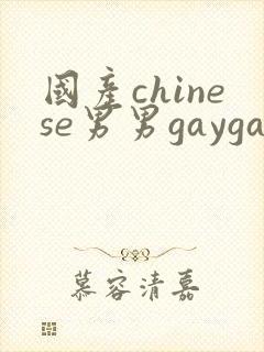 国产chinese男男gaygay网站封面