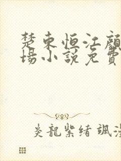 楚东恒江颜的官场小说免费阅读封面