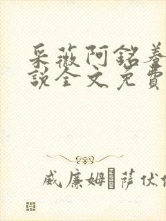 采薇阿铭养父小说全文免费阅读