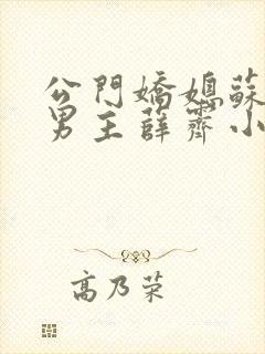 公门娇媳苏雪瑶男主薛霁小说封面