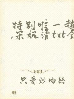 特别唯一赵振国,宋婉清txt全文下载