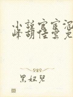 小说官宦沉浮秦峰胡佳云免费阅读无弹窗