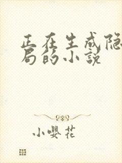 正在生成隐藏结局的小说