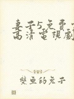 妻子5免费完整高清电视剧在线观看古