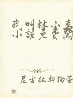 我叫林小喜全文小说免费阅读封面