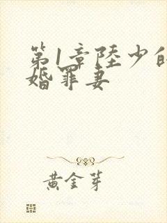 第1章陆少的隐婚罪妻