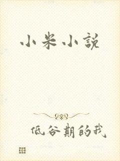 小米小说