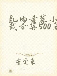 乱肉黄蓉小武大武合集500篇