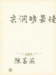 宋洞明最后结局封面