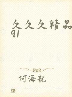 久久久精品国产91