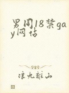 男同18禁gay网站封面