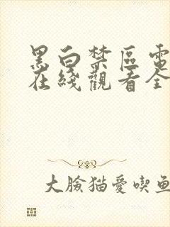 黑白禁区电视剧在线观看全集