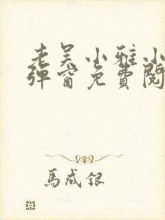 老吴小雅小说无弹窗免费阅读