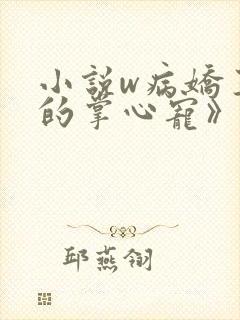 小说w病娇王爷的掌心宠》