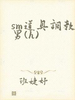 sm道具调教男男(h)
