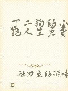 丁二狗的小说猎艳人生免费阅读全文