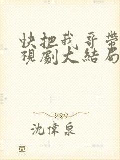 快把我哥带走电视剧大结局