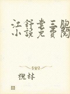 江舒棠三胞胎的小说免费阅读