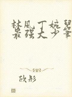 林风丁婉儿极品最强大少笔趣阁