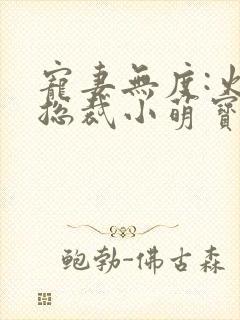 宠妻无度:火爆总裁小萌宝