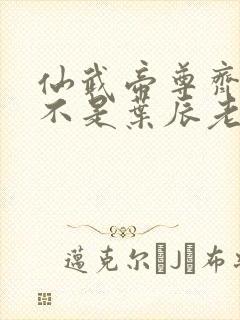 仙武帝尊齐月是不是叶辰老婆