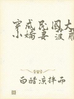 穿成民国大佬的小娇妻 菠萝飞雪封面