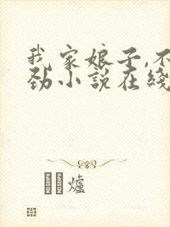 我家娘子,不对劲小说在线阅读