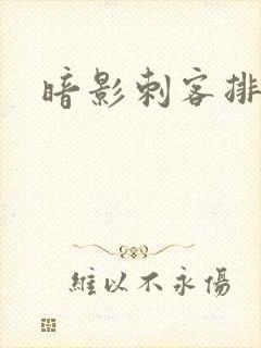 暗影刺客排行榜