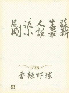 风流人生苏柔赵刚小说最新章节更新