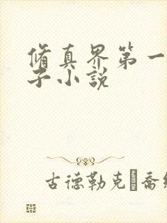 修真界第一病秧子小说封面