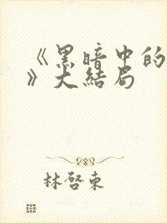 《黑暗中的救赎》大结局封面