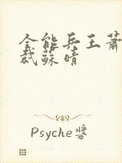 全能兵王萧晨总裁苏晴