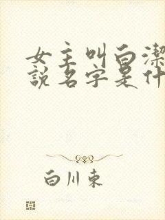 女主叫白洁的小说名字是什么封面