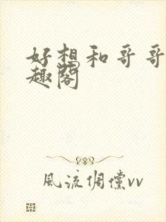 好想和哥哥做笔趣阁封面