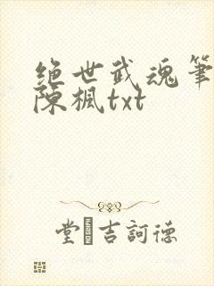 绝世武魂笔趣阁陈枫txt