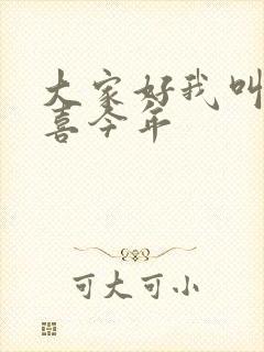 大家好我叫林小喜今年封面