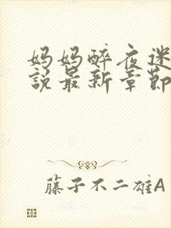 妈妈醉夜迷晨小说最新章节更新时间封面