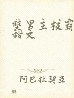 双男主校霸校园甜文