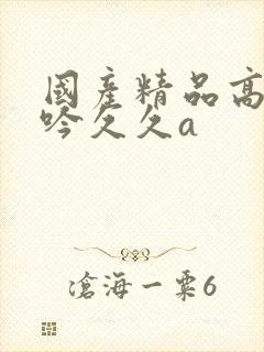 国产精品高潮呻吟久久a