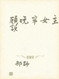 顾晚宁女主的小说封面