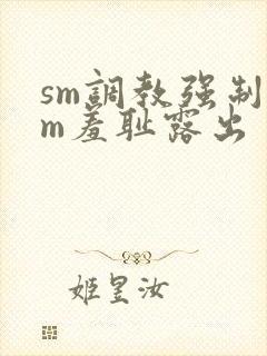 sm调教强制女m羞耻露出