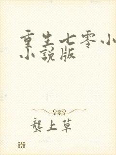 重生七零小辣媳小说版封面