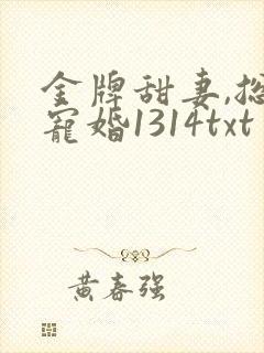 金牌甜妻,总裁宠婚1314txt