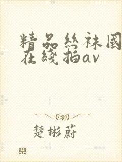 精品丝袜国产自在线拍av