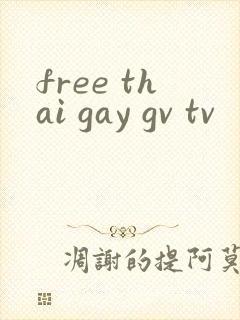 free thai gay gv tv封面