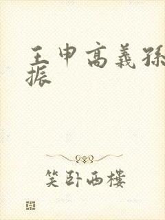 王申高义孙倩赵振封面