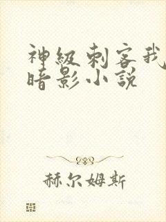 神级刺客我即是暗影小说