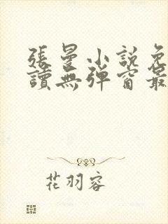 张曼小说免费阅读无弹窗最新章节